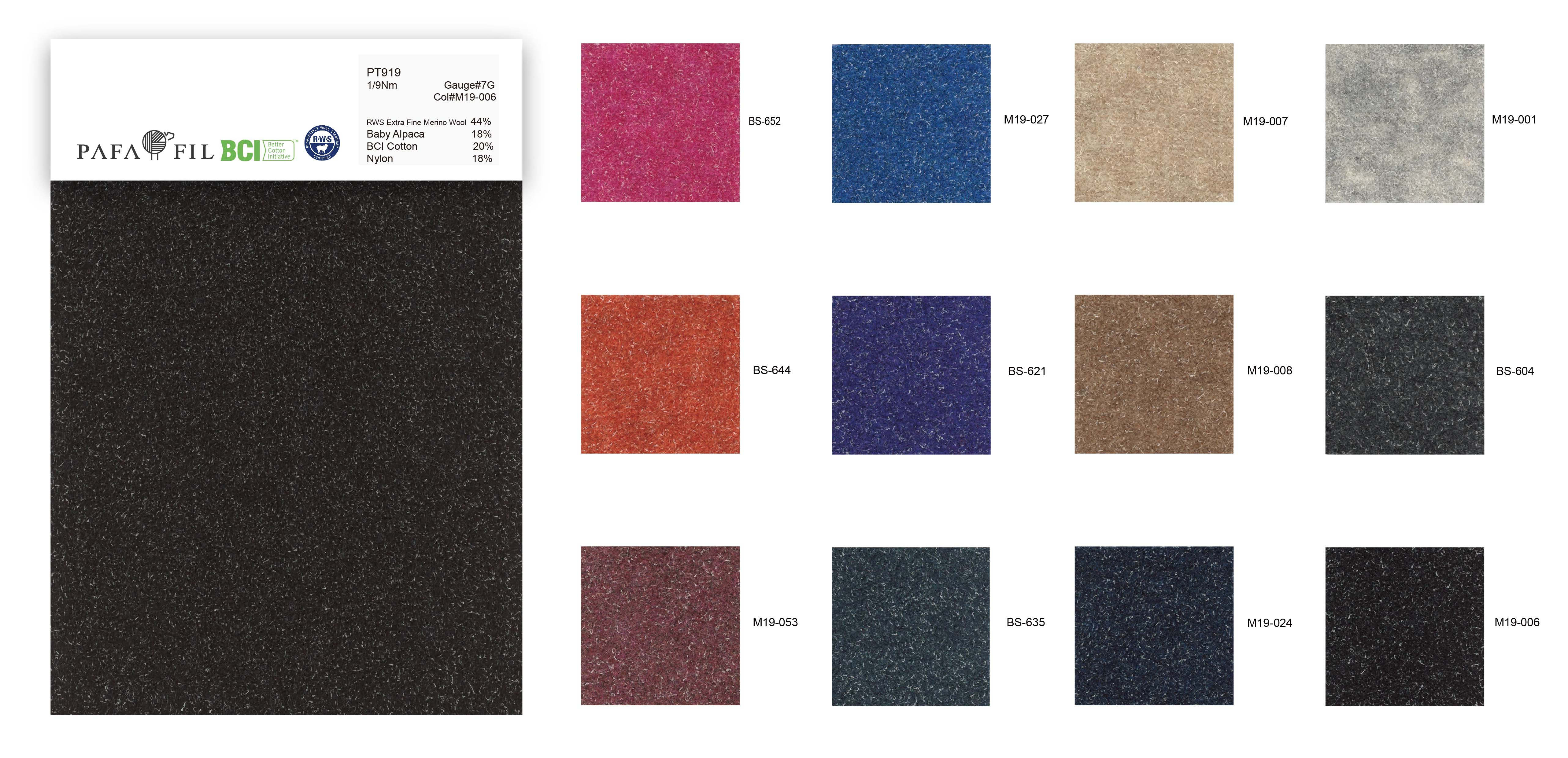 PT919 Color card