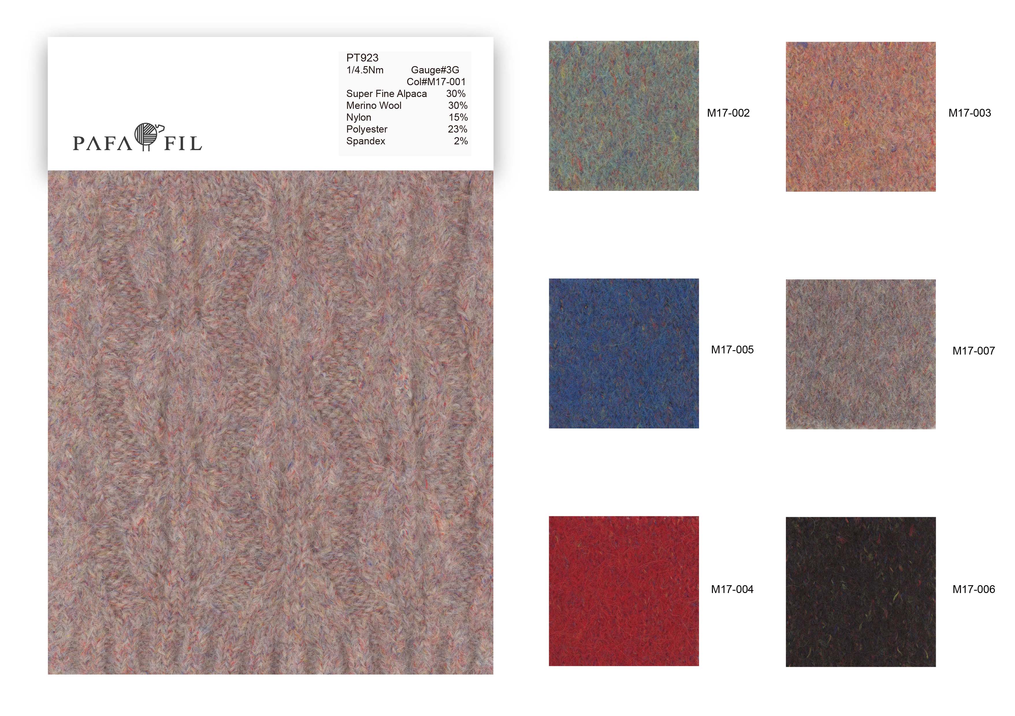 PT923 Color card