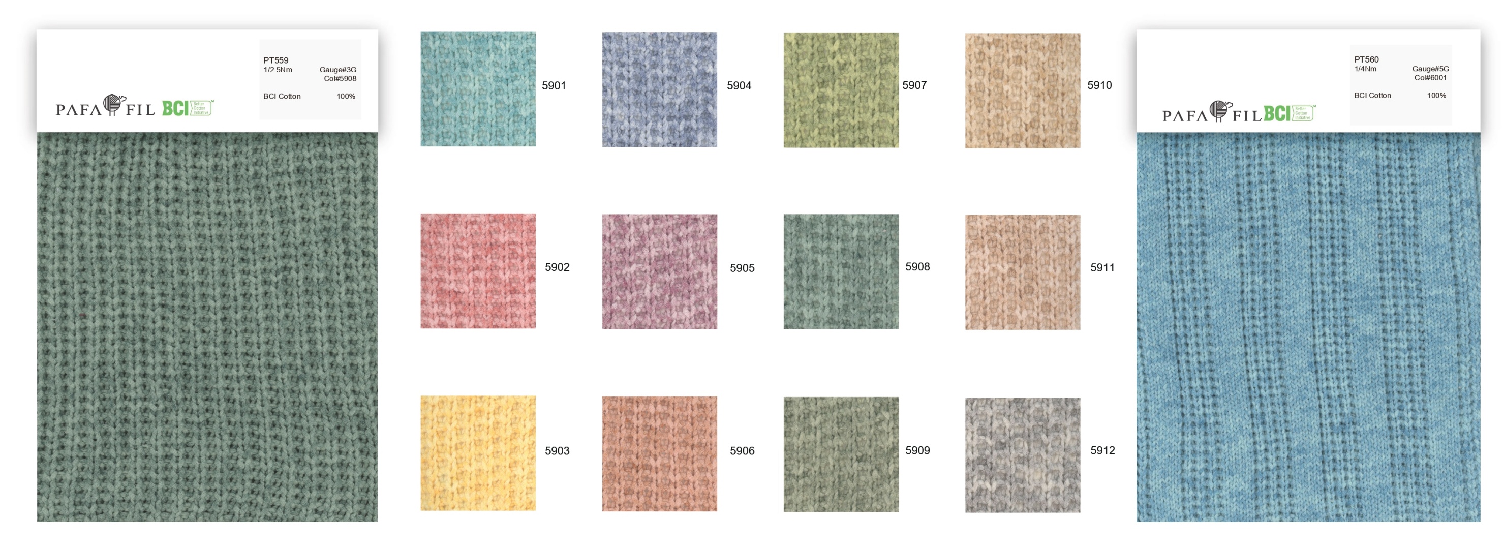PT559&PT560 Color card